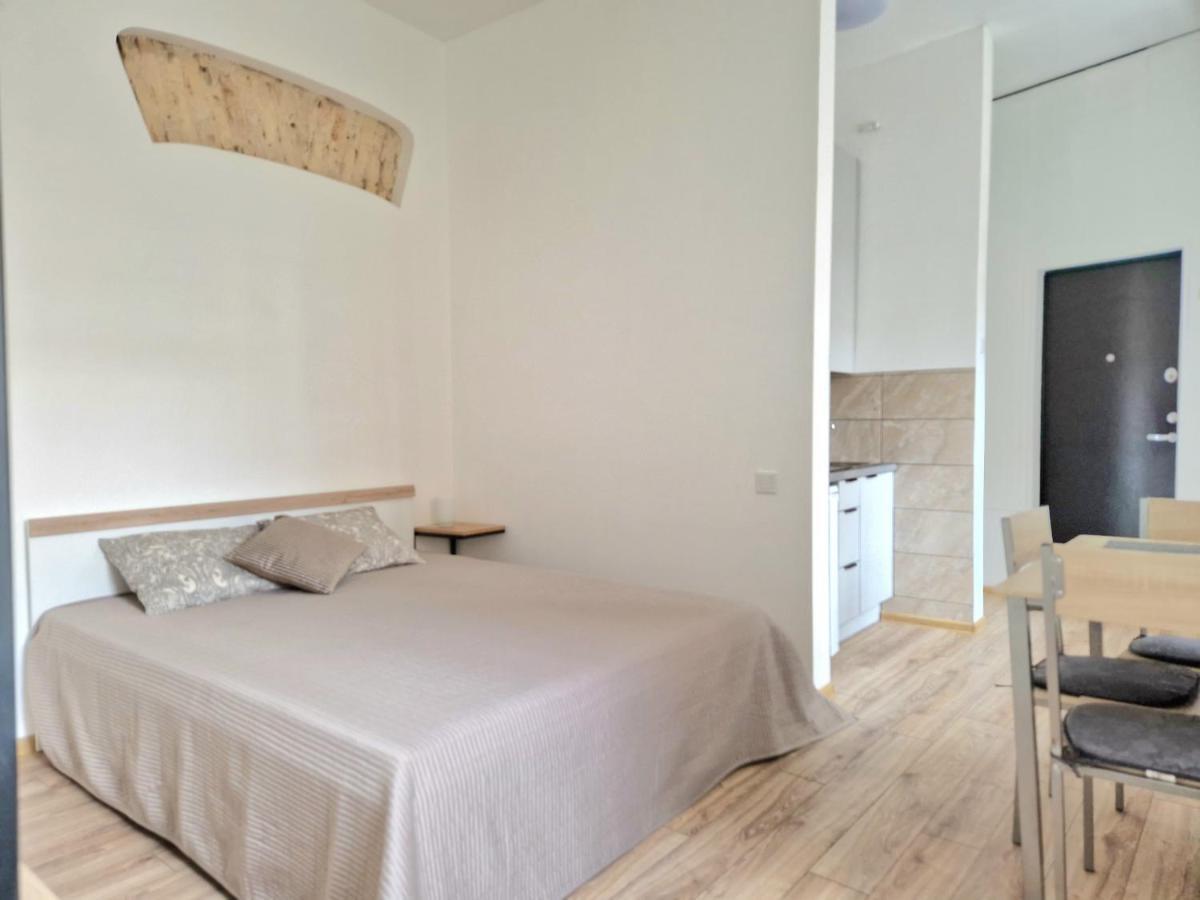 Appartement Cozy Studio In Heart Of Old Town à Vilnius Extérieur photo